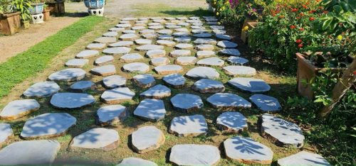 Đá bánh dầu lát sân vườn - Hình ảnh 5