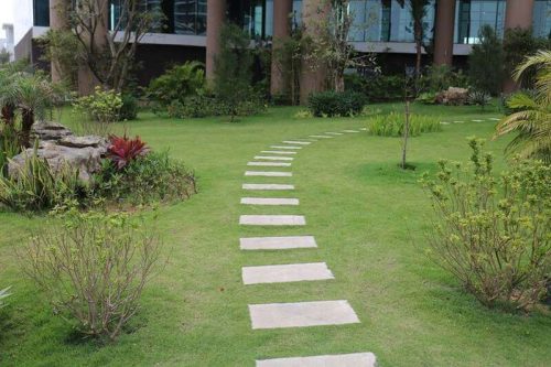 Đá Bước Dặm Trắng Băm Chống Trơn